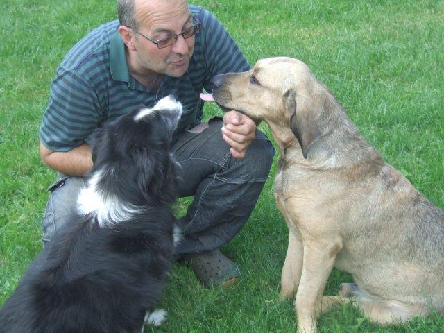 Hutch Labrador-Bloodhound und Sheena Border Collie21